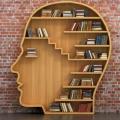 Why Are Memoirs Becoming More Popular Today?